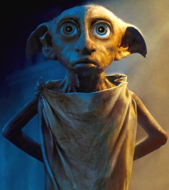 Bild Dobby Blog